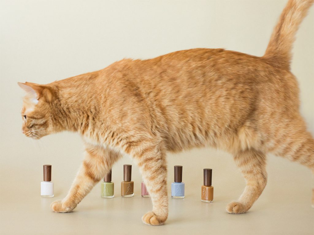コスメティックブランド「rihka」猫をテーマにしたコレクション発売